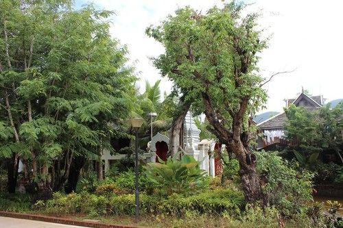 Xishuangbanna Elephanthome Boutique Guest House Экстерьер фото